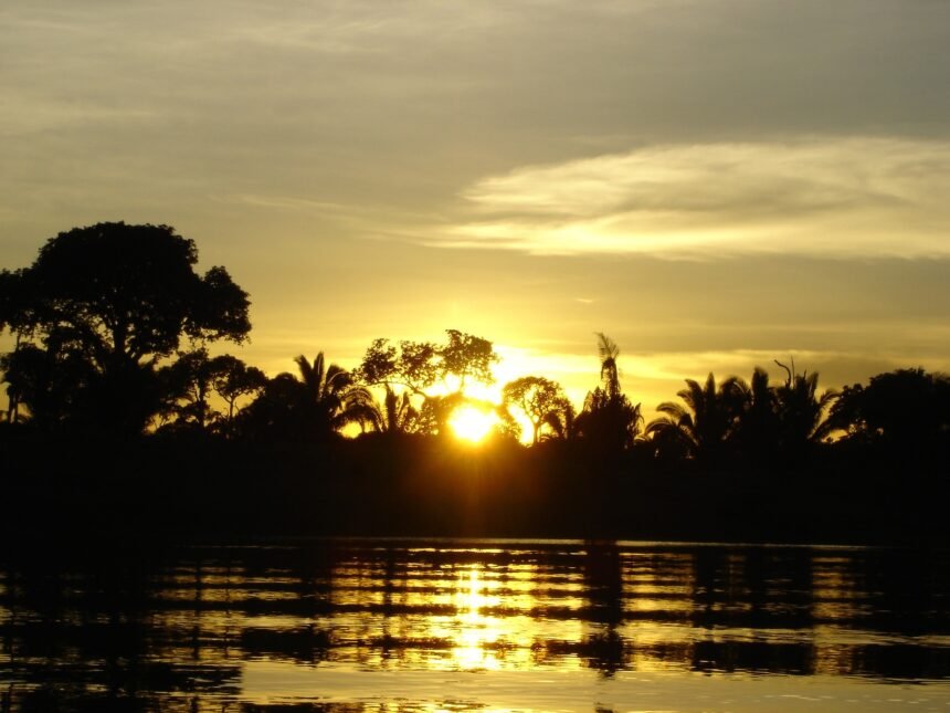 La Niña 2025: Implicaciones Críticas para el Futuro del Sector Energético en Brasil