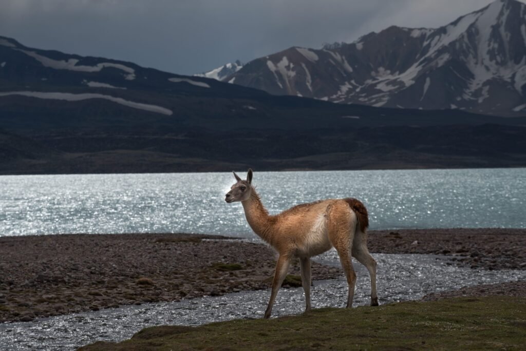 Laguna del Diamante: Guía completa para visitarla en Mendoza