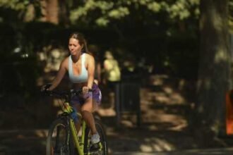 Mendoza inicia el año con intenso calor y sol radiante