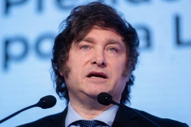 Milei levantará el cepo al dólar en 2025