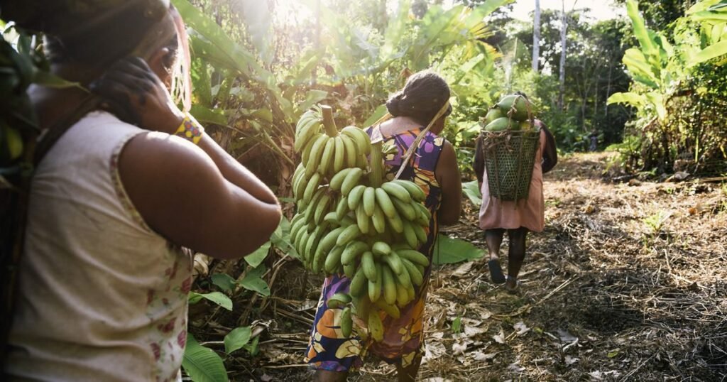 Mujeres líderes en conservación de ecosistemas en Latinoamérica