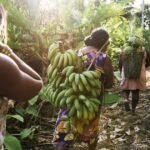 Mujeres líderes en conservación de ecosistemas en Latinoamérica