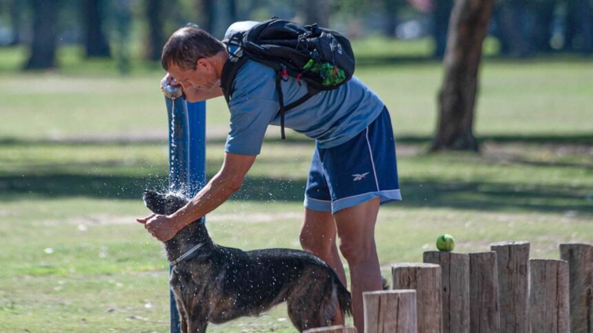 Primera ola de calor en Buenos Aires: consejos y llegada