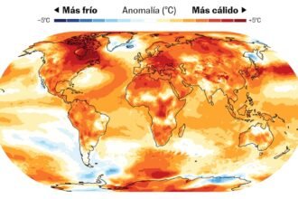 Récords climáticos de 2024: acciones urgentes por un futuro sostenible