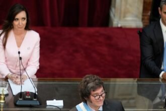 Apertura del Congreso 2025: milei impacta