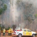 Corrientes arde: 3 focos y una víctima