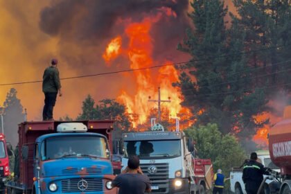 Fuego arrasa Patagonia: 24 mil hectáreas perdidas