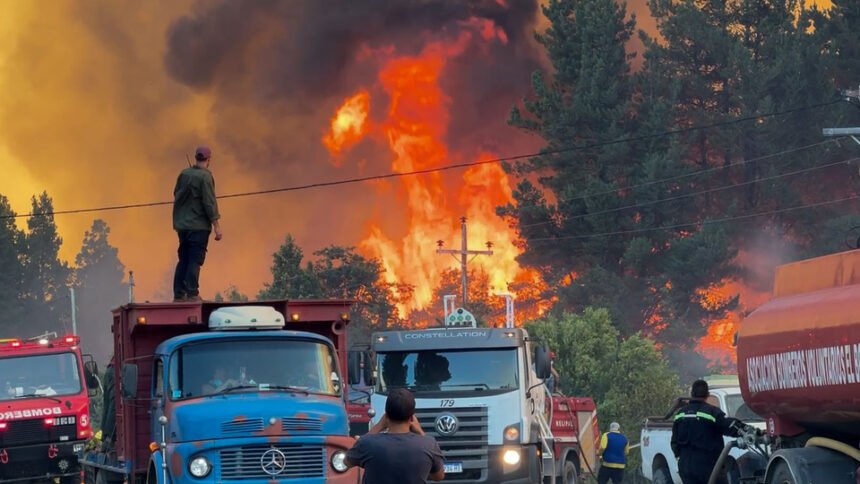 Fuego arrasa Patagonia: 24 mil hectáreas perdidas