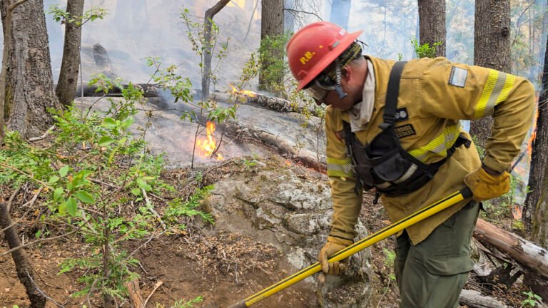 Fuego en Neuquén: riesgo para Mapuches