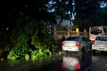 Fuerte temporal en AMBA: caos y daños