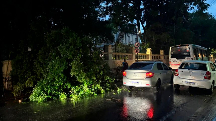 Fuerte temporal en AMBA: caos y daños