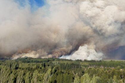 Gobierno argentino crea agencia ante incendios