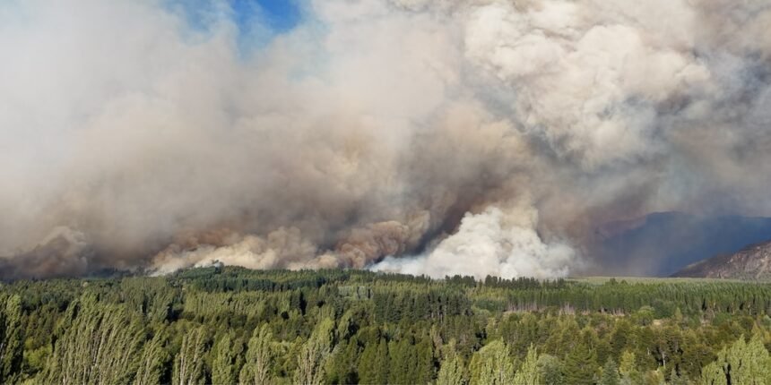 Gobierno argentino crea agencia ante incendios