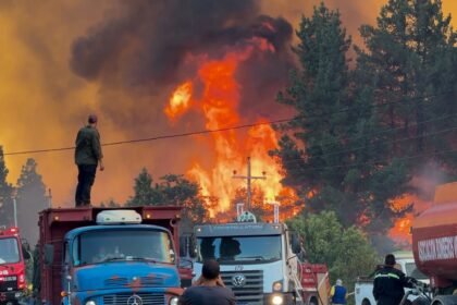 Identifican a fugados tras incendios en El Bolsón