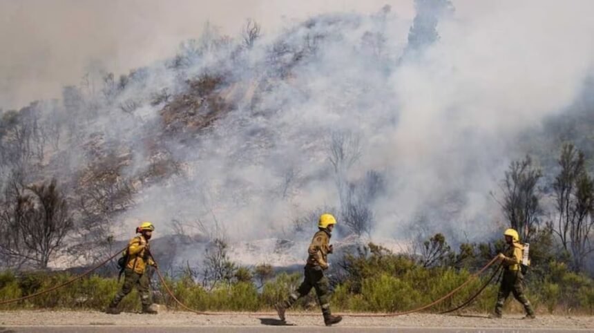 Incendios amenazan El Bolsón: alarma ciudadana