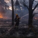 RAM: Organización terrorista por incendios en Patagonia