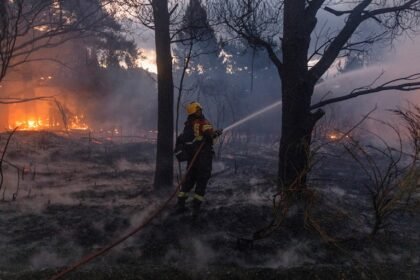 RAM: Organización terrorista por incendios en Patagonia