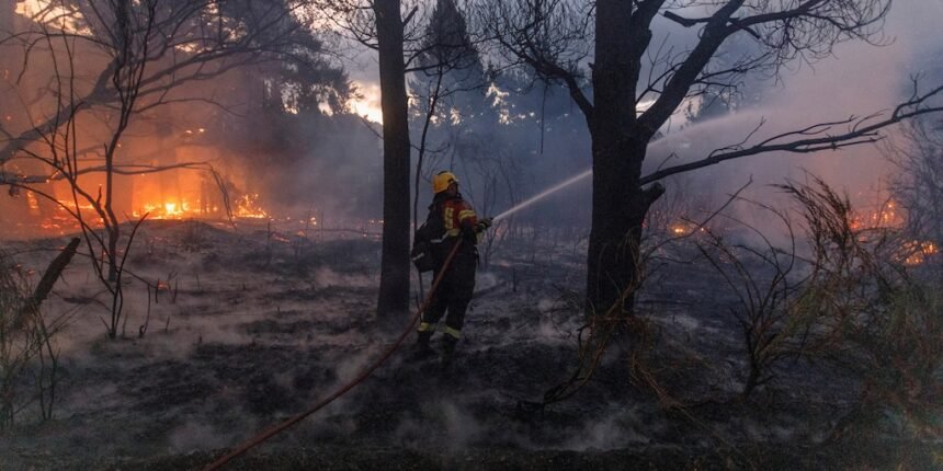 RAM: Organización terrorista por incendios en Patagonia