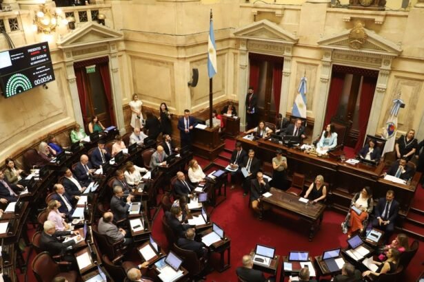 Senado debatirá suspensión de PASO este miércoles