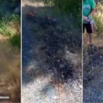 Valientes detienen fuego en Bariloche