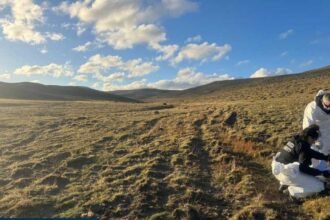 Accidente o Delito: La Importancia de Buscar Ayuda Inmediata en Situaciones Críticas