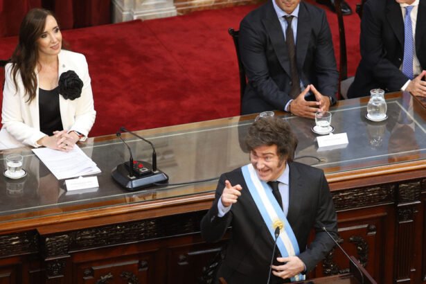 Milei y Kicillof: Polarización y Punitivismo