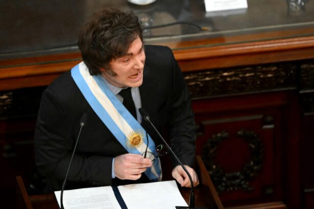 Pequeño león: un espectáculo decepcionante