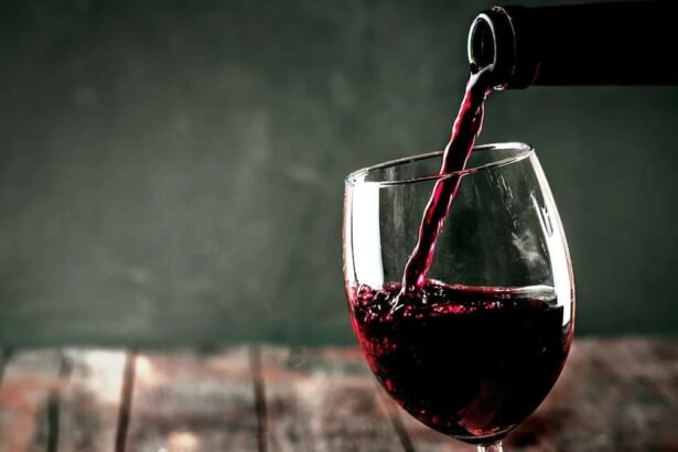 Descubre la Historia y la Importancia del Día del Malbec: ¡Celebra Este Vino Argentino Como Nunca!