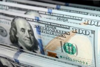 Dólar en Argentina: Precios Actualizados al 1 de Abril de 2025 – Blue, MEP y Contado Liqui en Centro de Atención Financiera