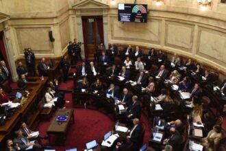 Senado Argentino Establece Fondo Especial y Declara Emergencia en Bahía Blanca: Medidas Urgentes para la Ciudad