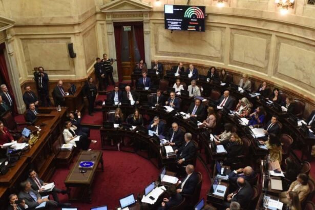 Senado Argentino Establece Fondo Especial y Declara Emergencia en Bahía Blanca: Medidas Urgentes para la Ciudad