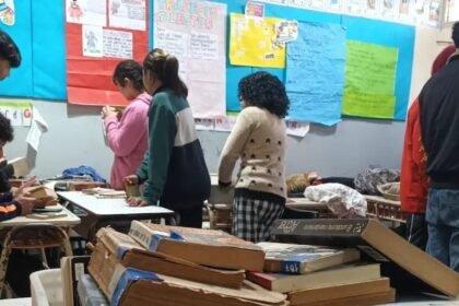 Estrategias Innovadoras de Provincias para Potenciar la Comprensión Lectora en la Educación 2025