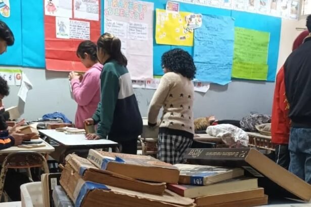 Estrategias Innovadoras de Provincias para Potenciar la Comprensión Lectora en la Educación 2025