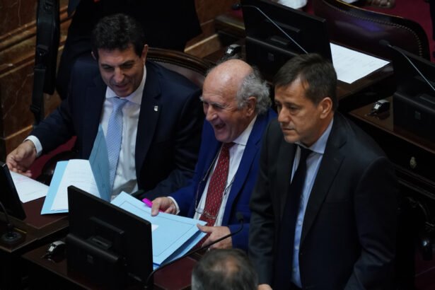 K busca revertir en el Congreso los decretos que transforman las fuerzas de seguridad federales: ¿Qué implicaciones tiene?