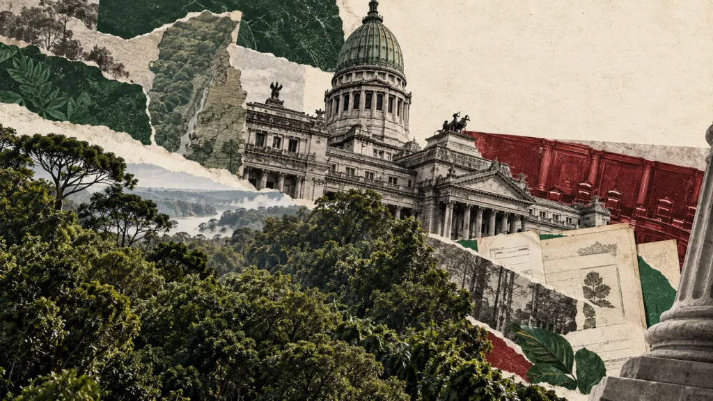 Collage conceptual original de La Red para senado / carbono y provincias, generado con IA. No es fotografía documental ni representa una obra concluida o una reunión real.