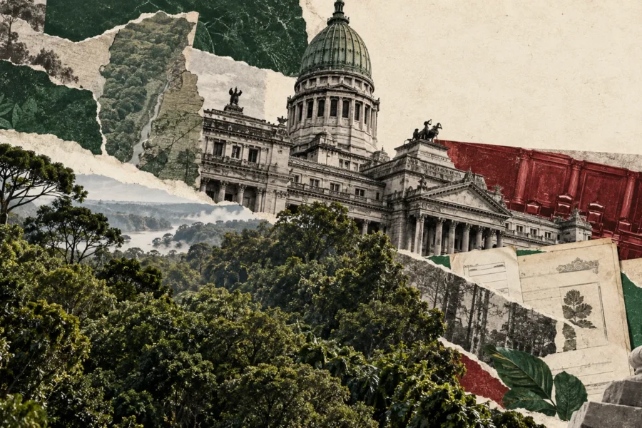 Collage conceptual original de La Red para senado / carbono y provincias, generado con IA. No es fotografía documental ni representa una obra concluida o una reunión real.