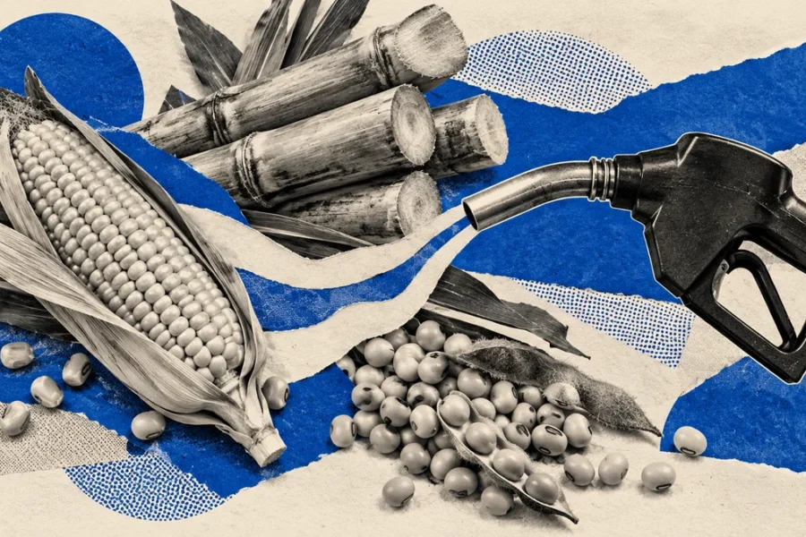 Collage azul con maíz, caña, soja y un pico de combustible: cadenas productivas y reglas de mercado