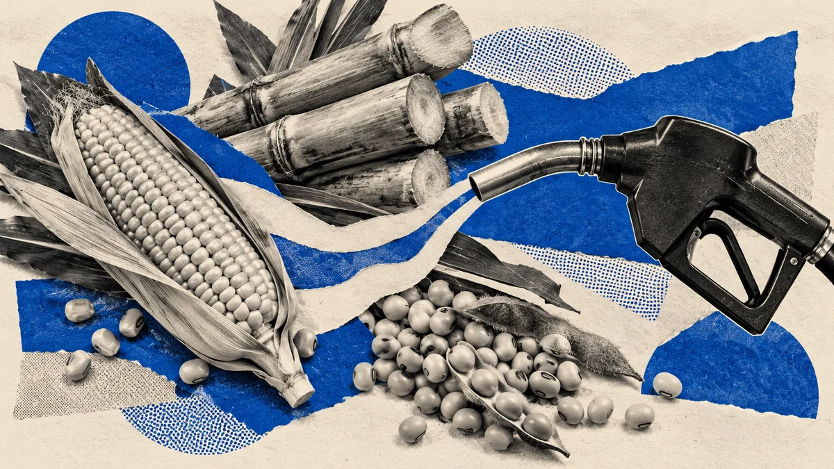 Collage azul con maíz, caña, soja y un pico de combustible: cadenas productivas y reglas de mercado