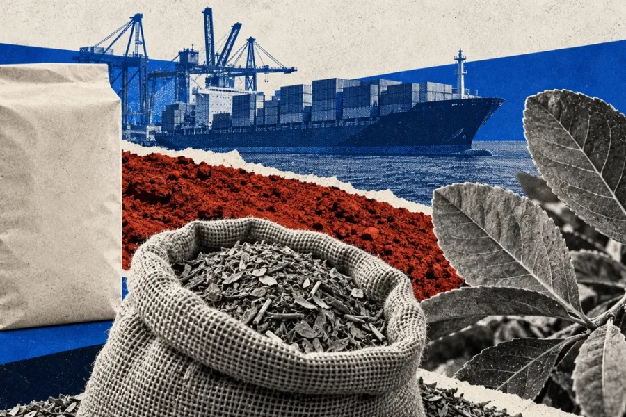 Hojas de yerba, saco, paquete y carguero en collage conceptual sobre distribución del valor